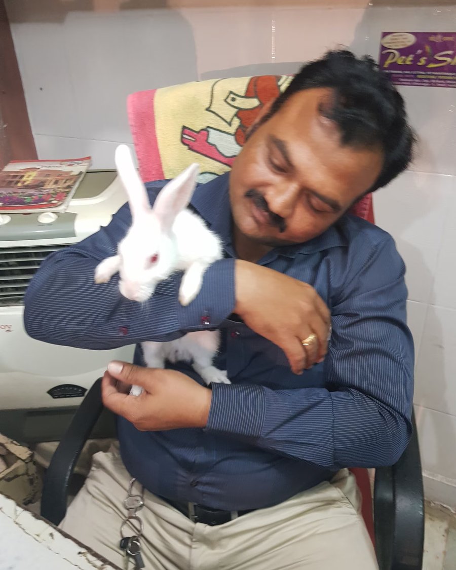 Dr. Sunil Y. Patil caring for a rabbit at the shop