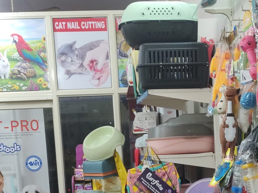 Pet carriers, litter trays and beds in store at Shree Swami Samarth Pets Shop, Ulhasnagar