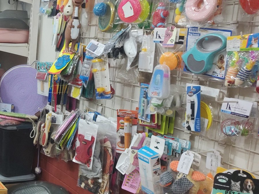 Collars, leashes, harnesses and grooming accessories at Shree Swami Samarth Pets Shop, Ulhasnagar